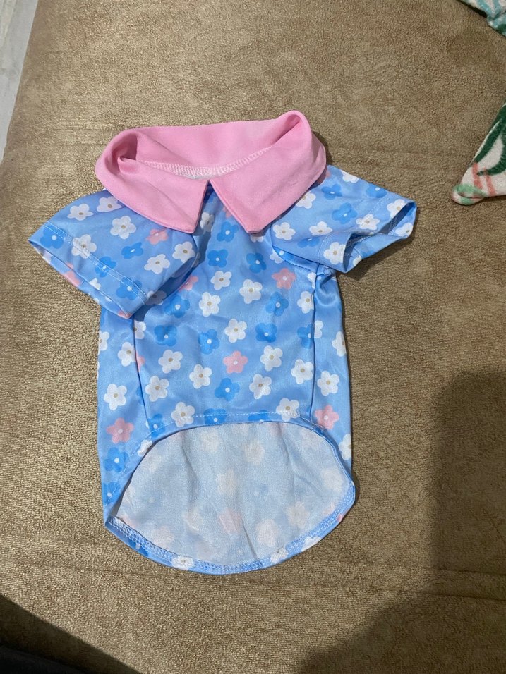 Kedi kıyafeti - Görsel 2