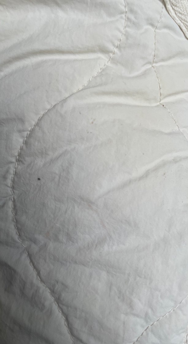 Düğmeli Krem Bebek Kapitone Ceket - Görsel 3