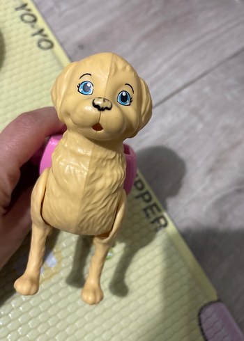 Chelsea köpek - Görsel 2