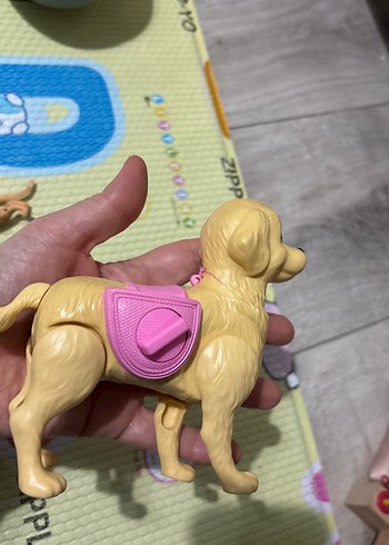 Chelsea köpek - Görsel 6