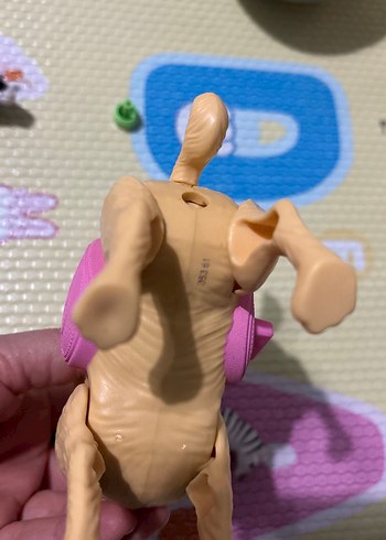 Chelsea köpek - Görsel 5