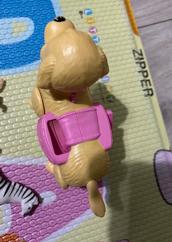 Chelsea köpek - Görsel 4