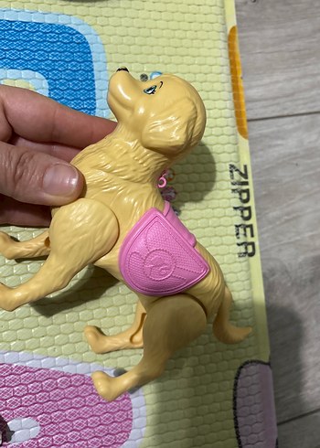 Chelsea köpek - Görsel 3