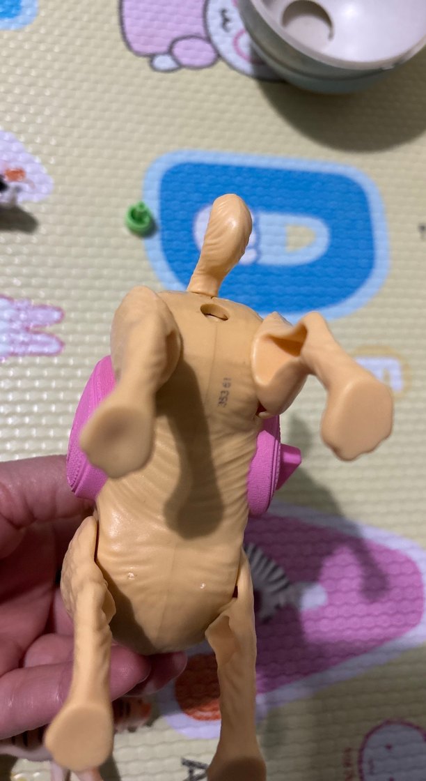 Chelsea köpek - Görsel 5