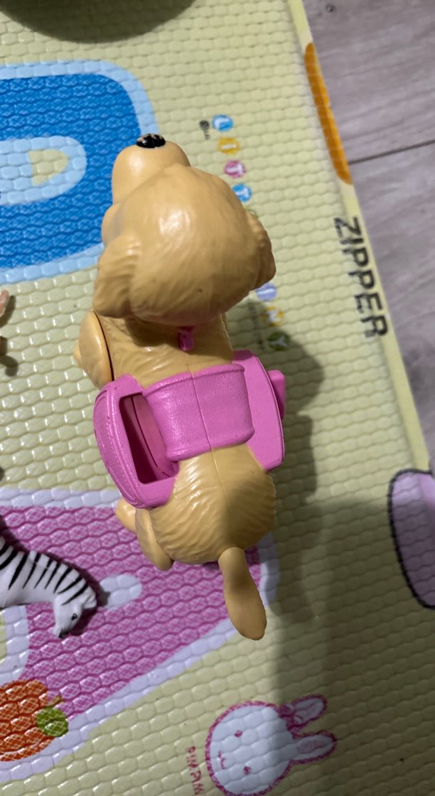 Chelsea köpek - Görsel 4