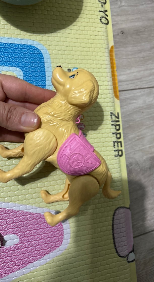 Chelsea köpek - Görsel 3