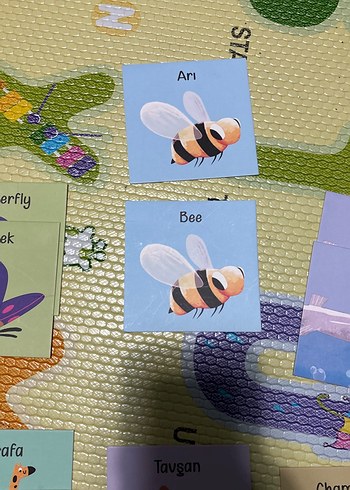 Hafıza kartları - Görsel 2