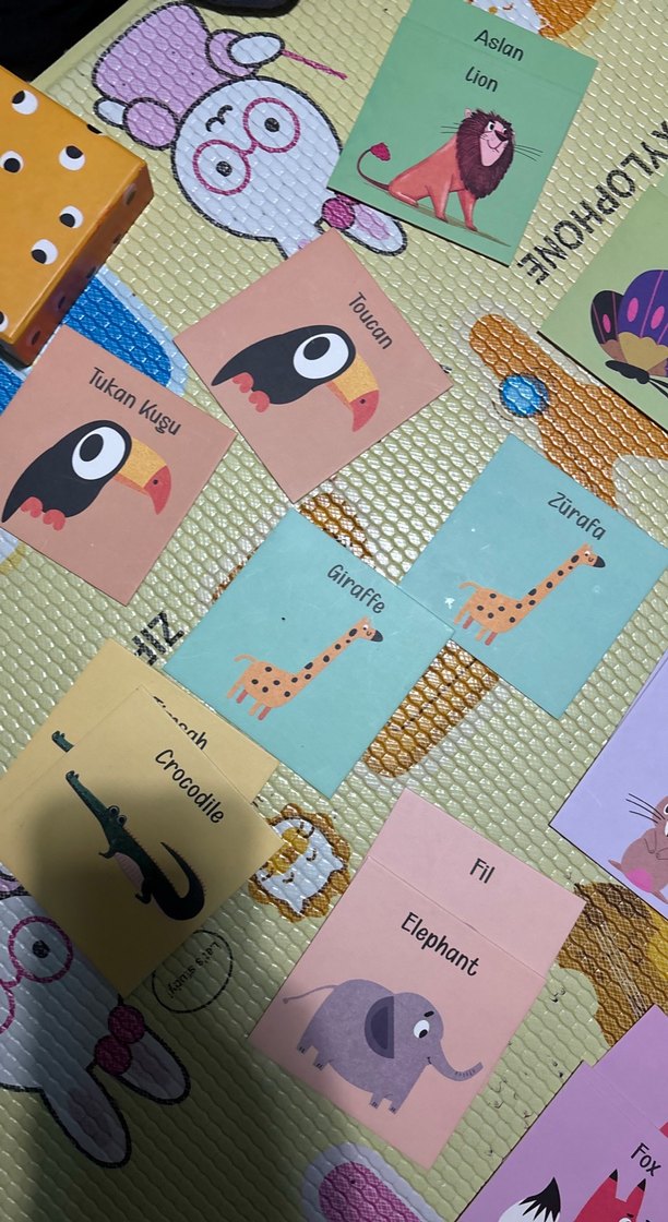 Hafıza kartları - Görsel 3