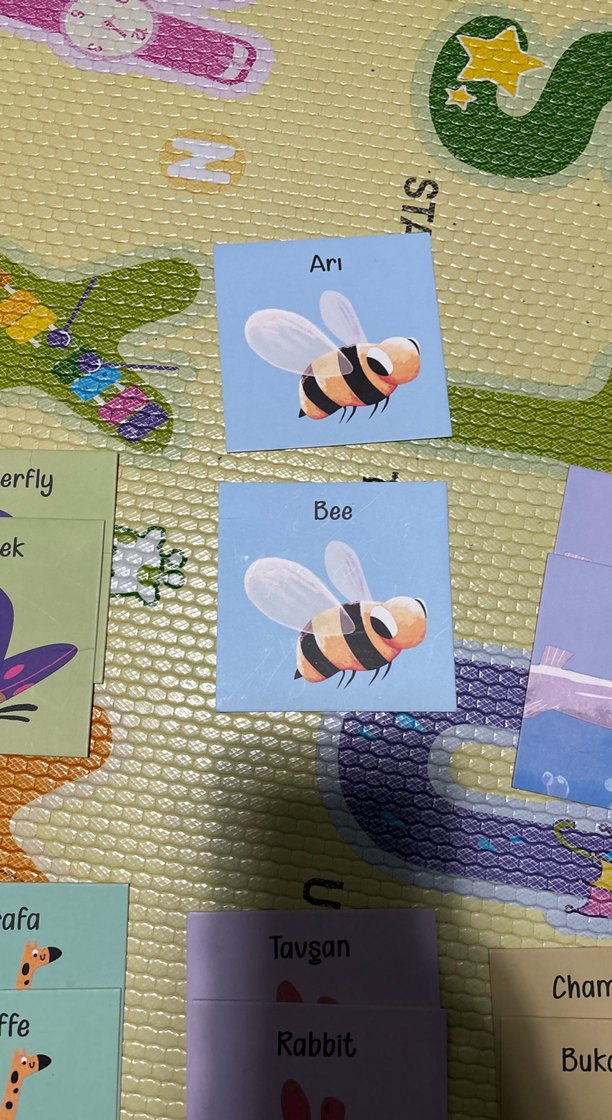 Hafıza kartları - Görsel 2