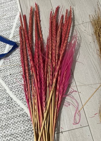 Bej Kuru Dekoratif Ot Demeti - Görsel 2