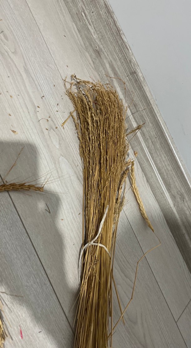 Bej Kuru Dekoratif Ot Demeti - Görsel 3