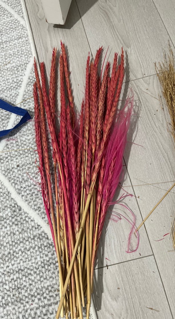 Bej Kuru Dekoratif Ot Demeti - Görsel 2