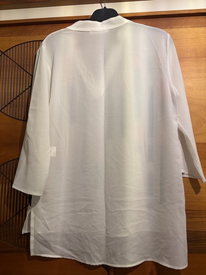 Çok Renkli Transparan V Yaka Kadın Gömlek - Görsel 3