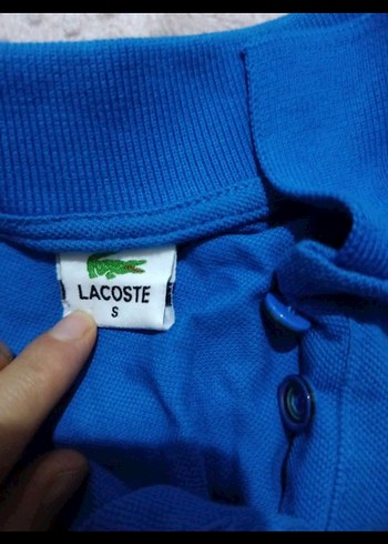 Erkek mavi Polo Yaka Kısa Kollu Tişört - Görsel 3