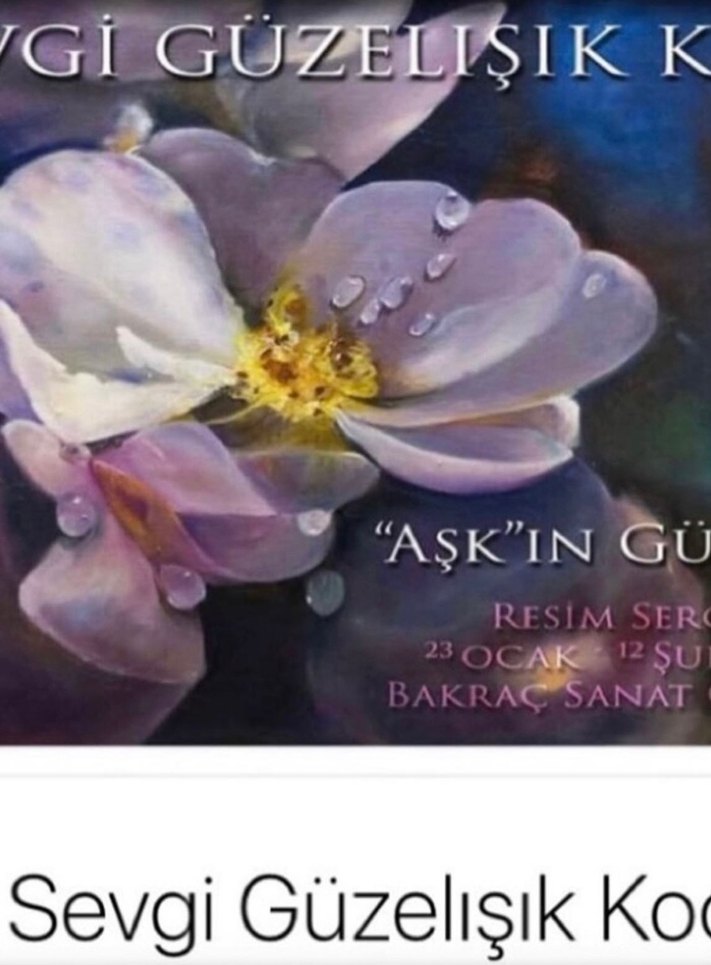 Mor Gül Temalı Çerçeveli Tablo - Görsel 2