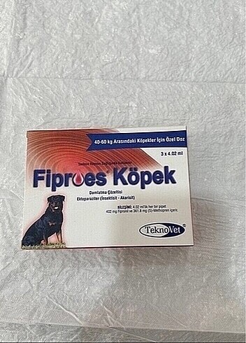 Köpek dış parazit