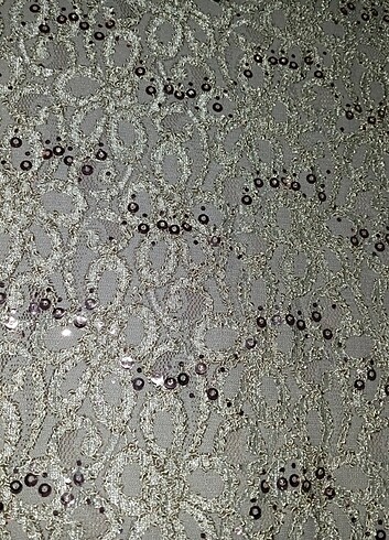 Pardesü - Görsel 6