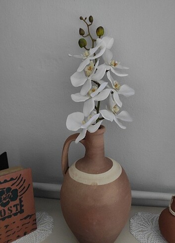 Dal orkide