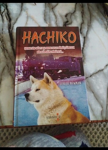 Hachiko