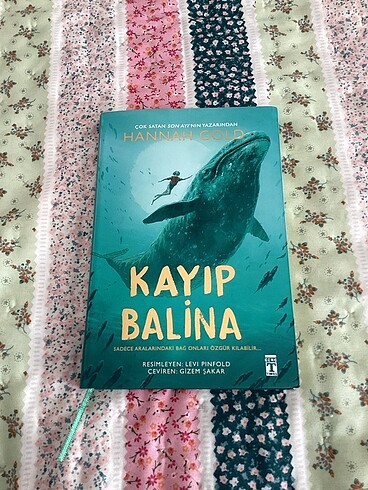 Kayıp balina kitabı