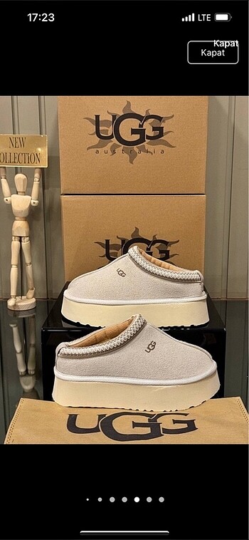 Ugg taz