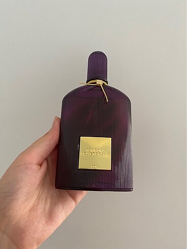 VELVET ORCHID