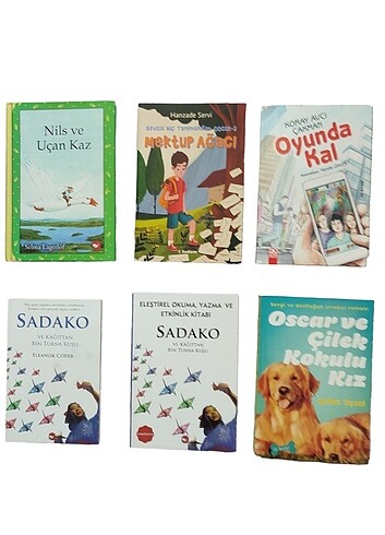 5. ve 6. sınıf okuma kitapları 