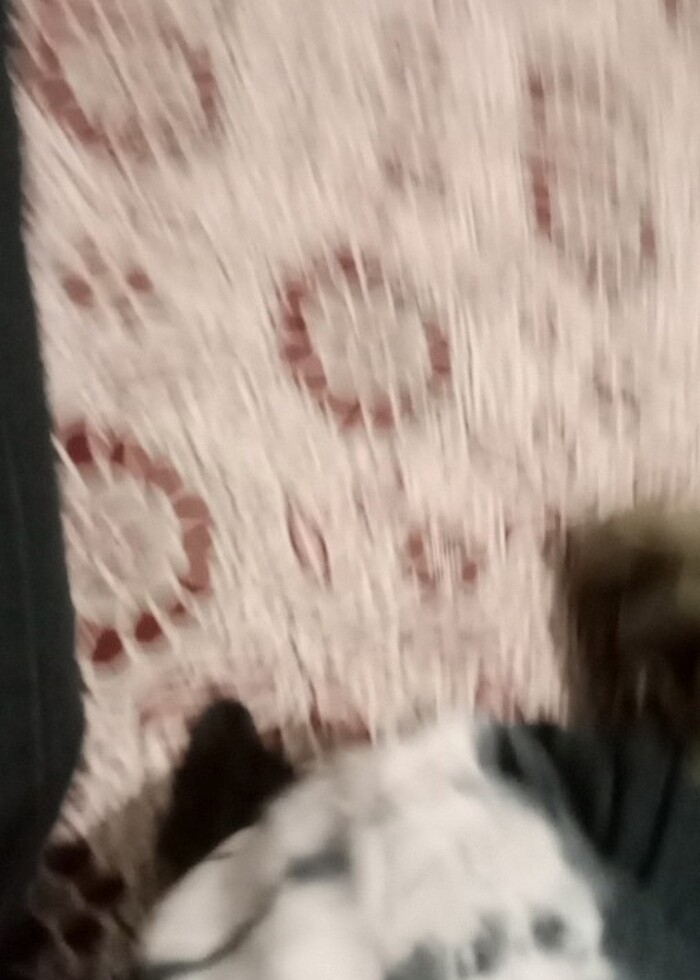 Pantolon  - Görsel 3