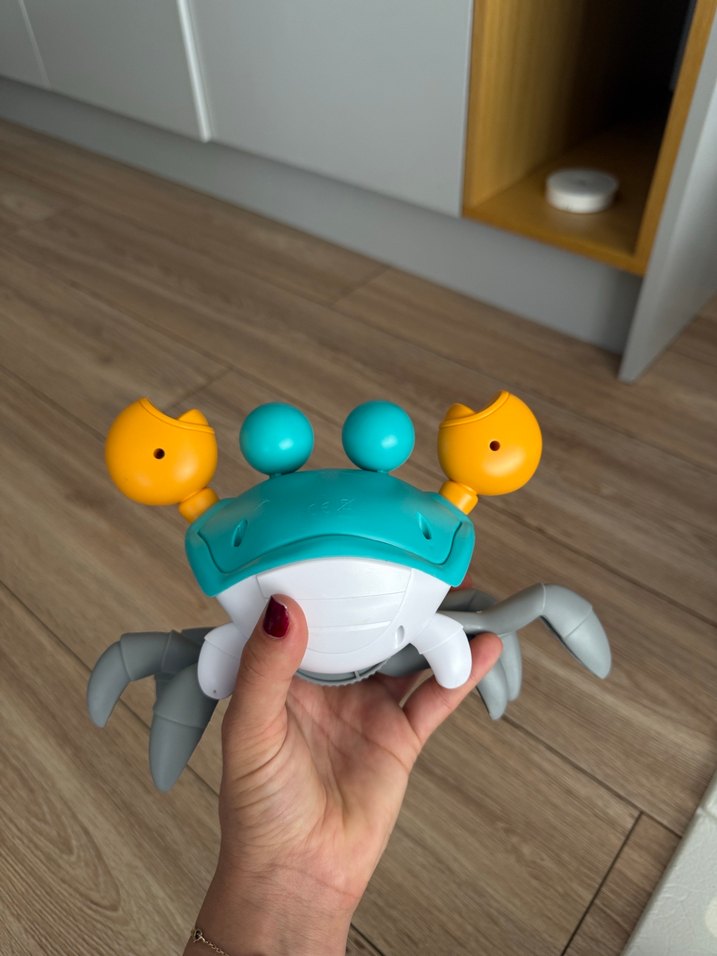 Yürüyen yengeç - Görsel 2