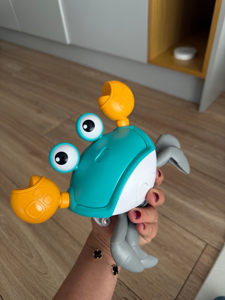 Yürüyen yengeç - Görsel 3