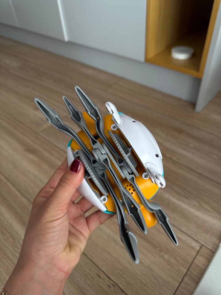 Yürüyen yengeç - Görsel 4