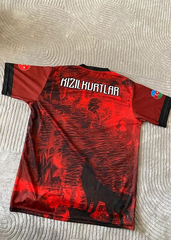 Kırmızı Baskılı Erkek Spor Tişört - Görsel 2