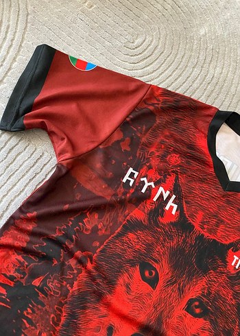 Kırmızı Baskılı Erkek Spor Tişört - Görsel 4
