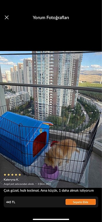  Beden Köpek çiti