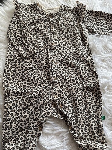 Leopar zıbın