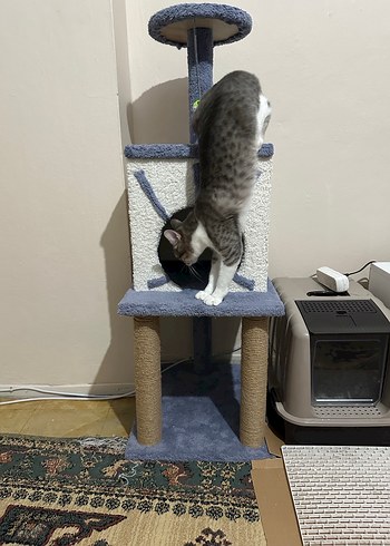 Gri Çok Katmanlı Kedi Tırmalama ve Oyun Evi - Görsel 2
