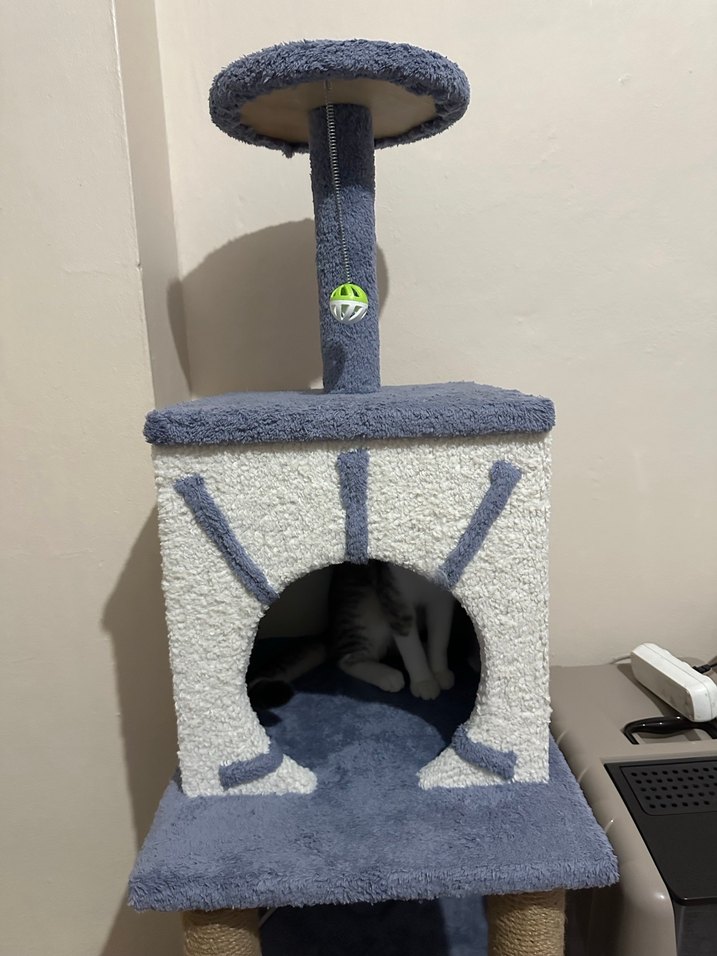 Gri Çok Katmanlı Kedi Tırmalama ve Oyun Evi - Görsel 5