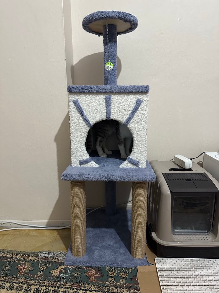 Gri Çok Katmanlı Kedi Tırmalama ve Oyun Evi - Görsel 3