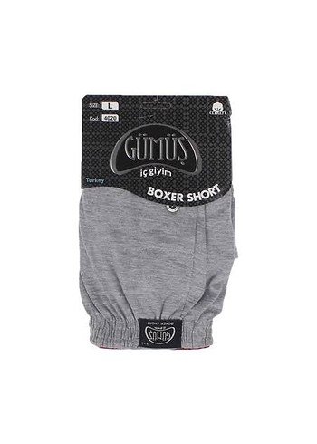 Erkek paçalı Boxer - Görsel 2