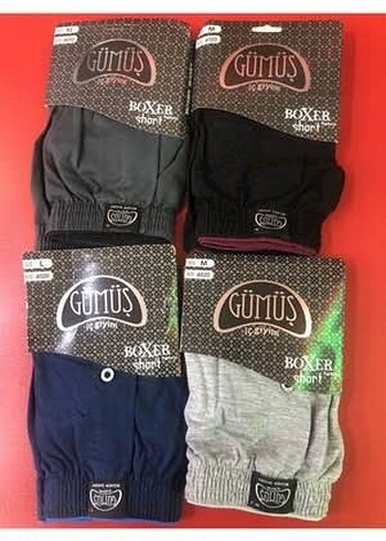 Erkek paçalı Boxer - Görsel 4