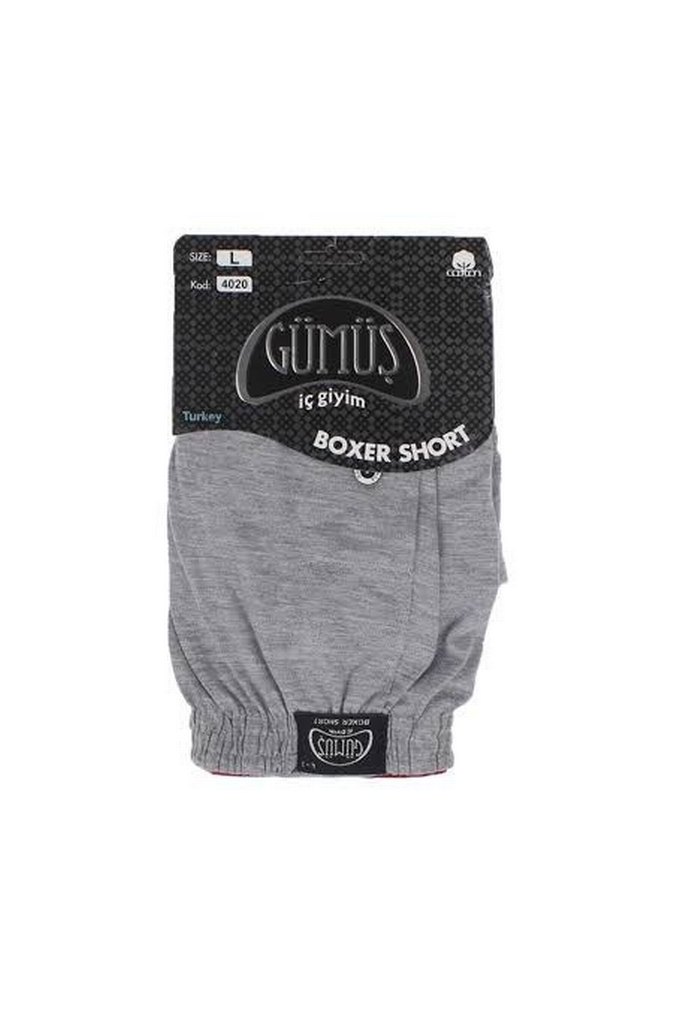 Erkek paçalı Boxer - Görsel 2