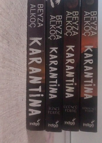 Beyza Alkoç - Karantina Roman Seti 1-4