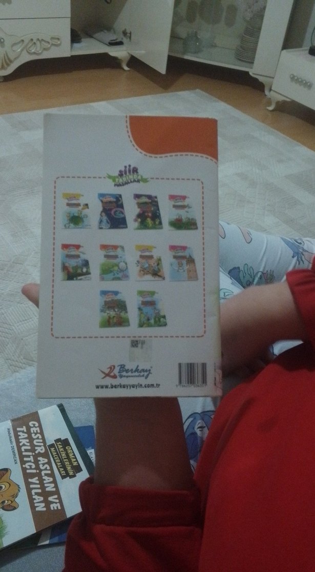 Şiir Tadında Masallar: Büyük Göz - Görsel 2