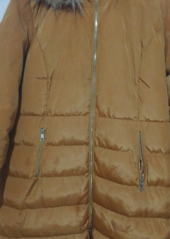 Kadın Kaban - Görsel 2