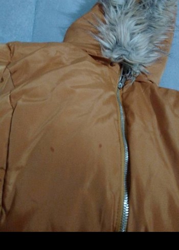 Kadın Kaban - Görsel 6