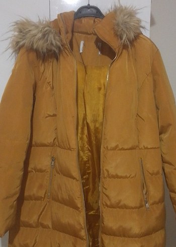 Kadın Kaban - Görsel 3