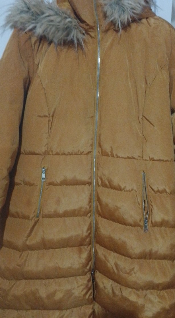 Kadın Kaban - Görsel 2