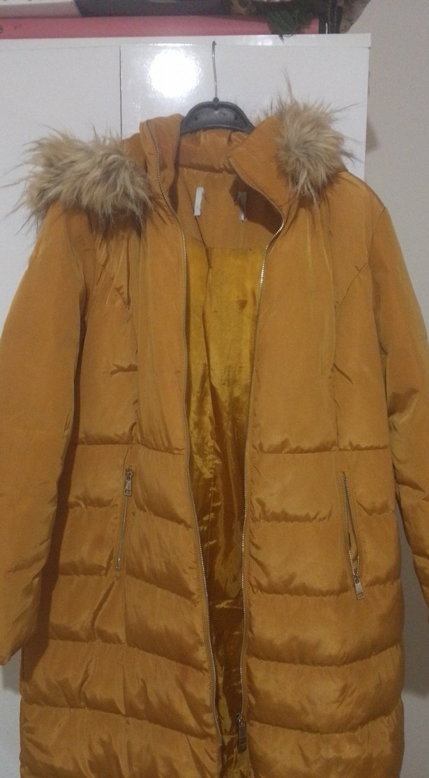 Kadın Kaban - Görsel 3