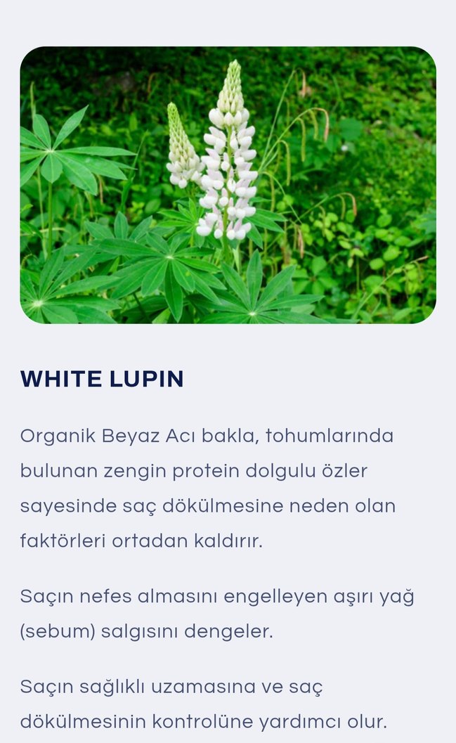 sac ekimi den sonra bakım seti - Görsel 4