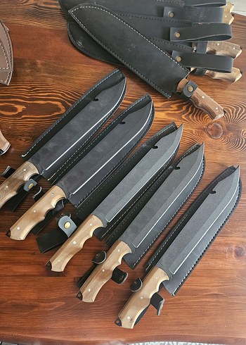 10 ADET ORMAN PALASI - Görsel 2